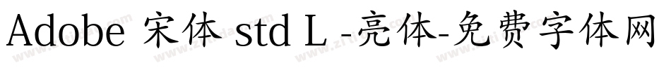 Adobe 宋体 std L -亮体字体转换